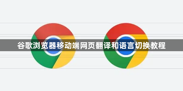 谷歌浏览器移动端网页翻译和语言切换教程1