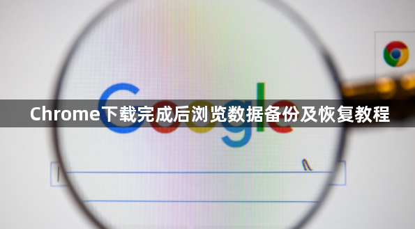 Chrome下载完成后浏览数据备份及恢复教程1