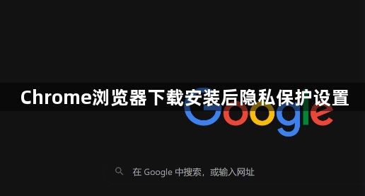 Chrome浏览器下载安装后隐私保护设置1