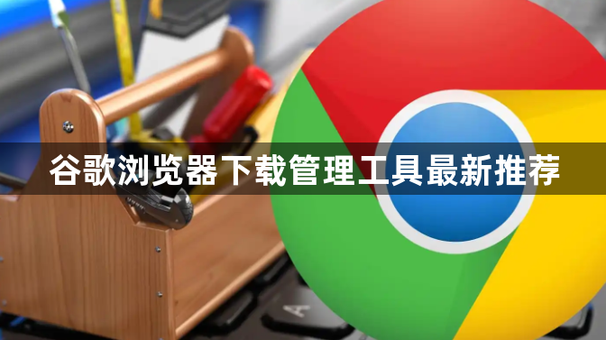 谷歌浏览器下载管理工具最新推荐1