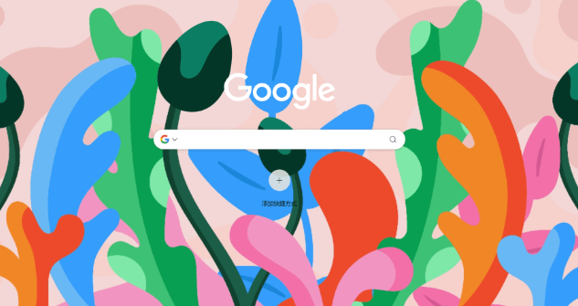 谷歌浏览器下载完成后插件配置技巧