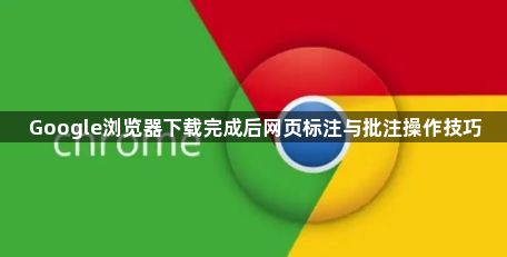 Google浏览器下载完成后网页标注与批注操作技巧1