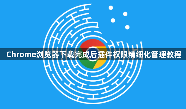 Chrome浏览器下载完成后插件权限精细化管理教程1