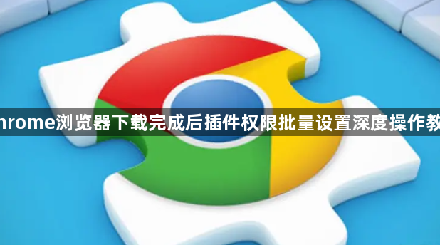 Chrome浏览器下载完成后插件权限批量设置深度操作教程1