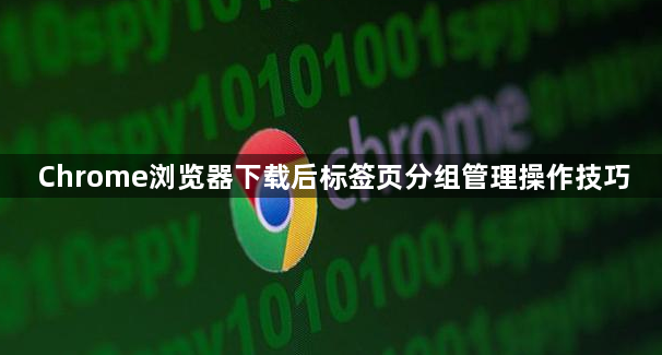 Chrome浏览器下载后标签页分组管理操作技巧1