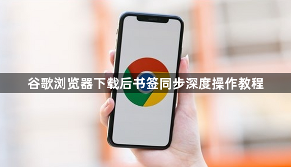 谷歌浏览器下载后书签同步深度操作教程1