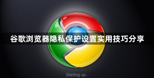 谷歌浏览器隐私保护设置实用技巧分享1