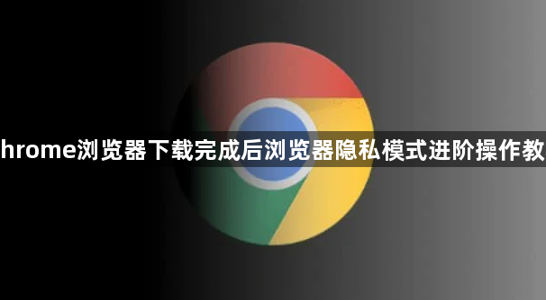Chrome浏览器下载完成后浏览器隐私模式进阶操作教程1