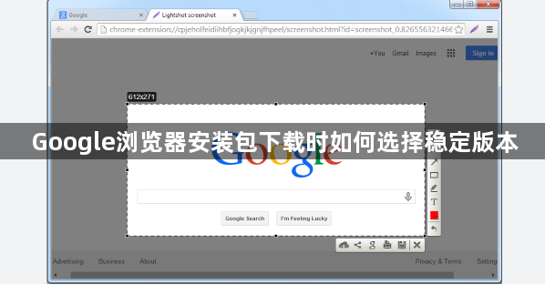 Google浏览器安装包下载时如何选择稳定版本1