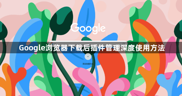 Google浏览器下载后插件管理深度使用方法1