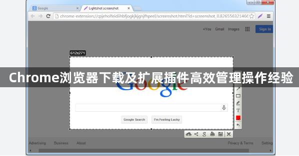 Chrome浏览器下载及扩展插件高效管理操作经验1
