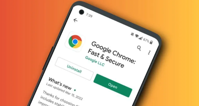 Chrome浏览器缓存清理提升性能操作技巧