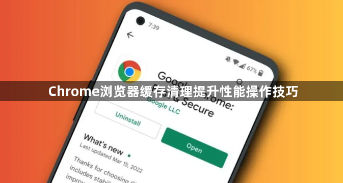 Chrome浏览器缓存清理提升性能操作技巧1