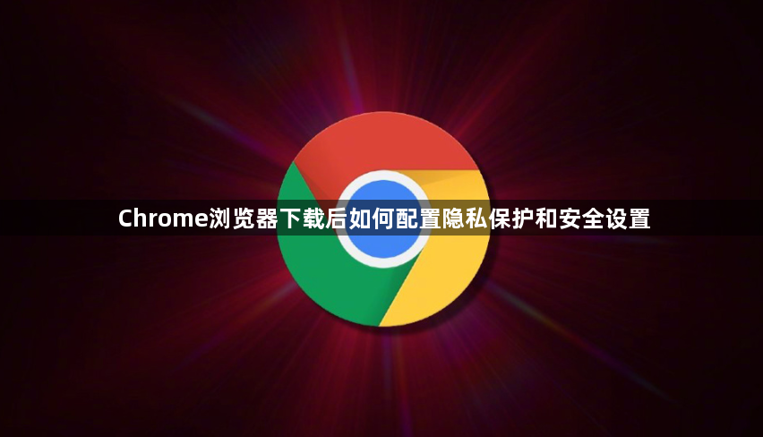 Chrome浏览器下载后如何配置隐私保护和安全设置1