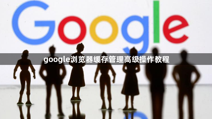google浏览器缓存管理高级操作教程1